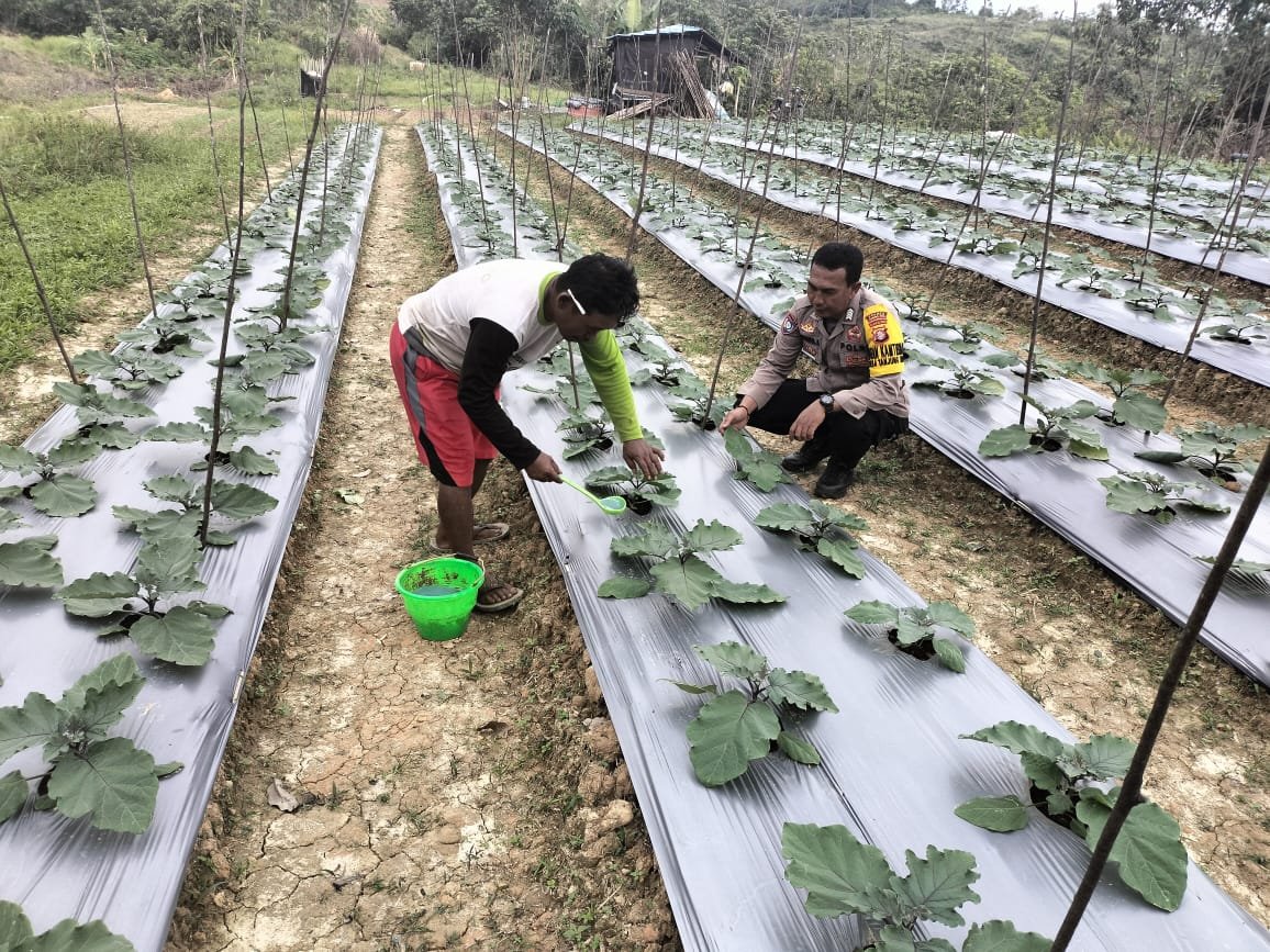 Sambang dan Edukasi, Polsek Kurun Dorong Ketahanan Pangan dari Pekarangan Rumah