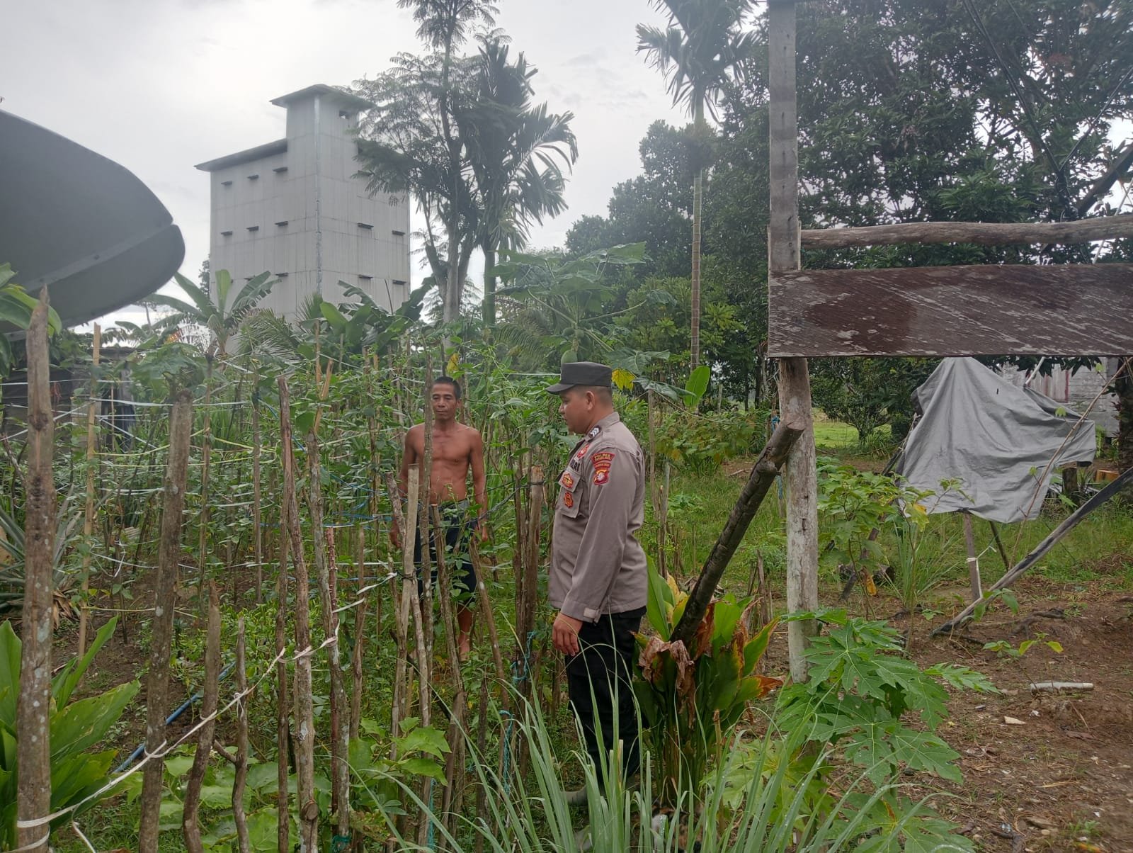Polisi Peduli Pangan: Bhabinkamtibmas Polsek Tewah Sambangi Warga, Dukung Pekarangan Bergizi