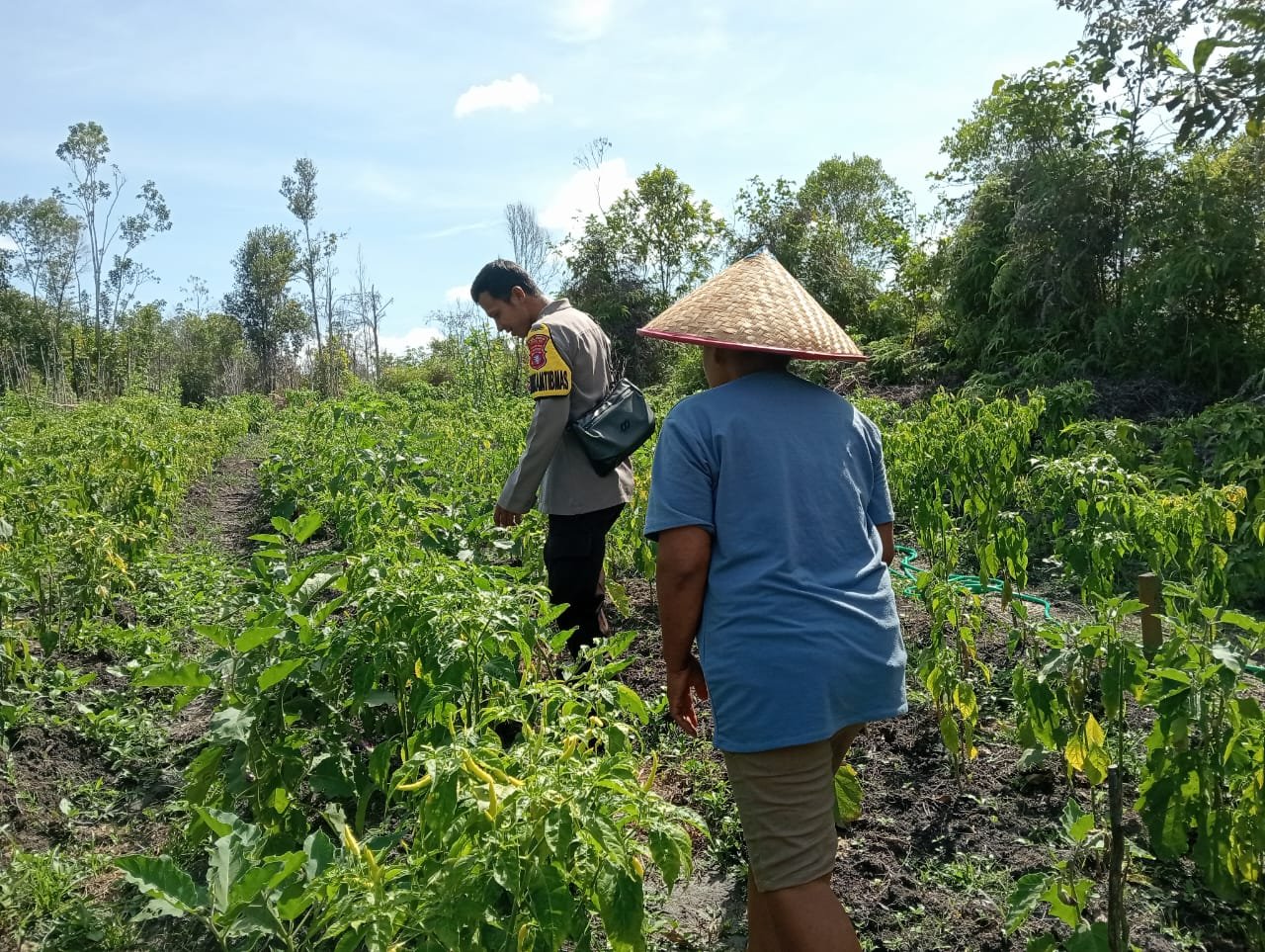 Inspirasi Dari Warga Desa Tumbang Tariak: Manfaatkan Lahan Untuk Ketahanan Pangan