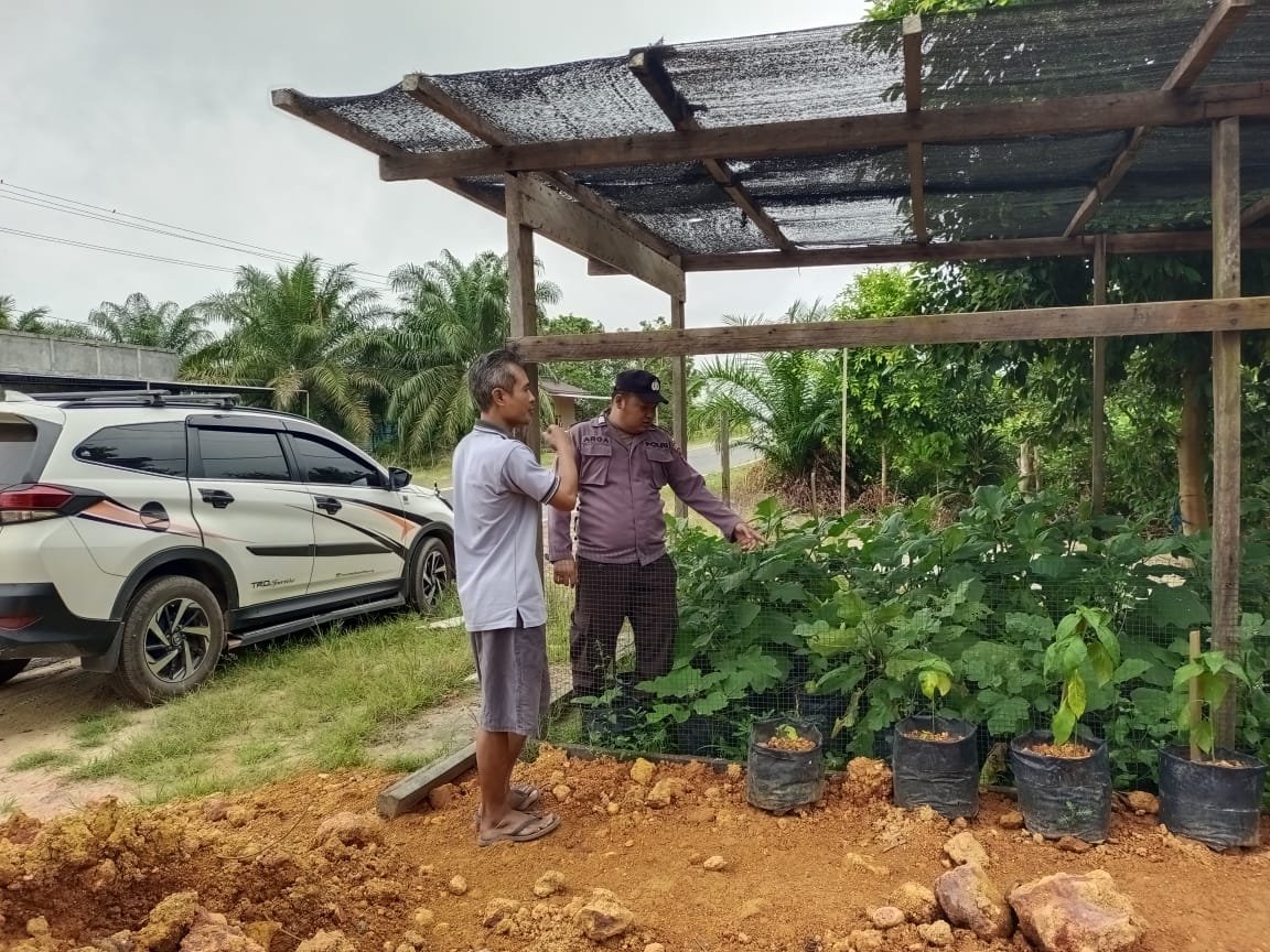Sambang Pekarangan Bergizi, Polsek Manuhing Dukung Ketahanan Pangan Nasional