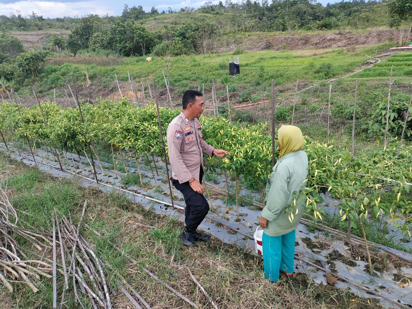 Inspirasi Dari Warga Kuala Kurun: Manfaatkan Lahan Untuk Ketahanan Pangan