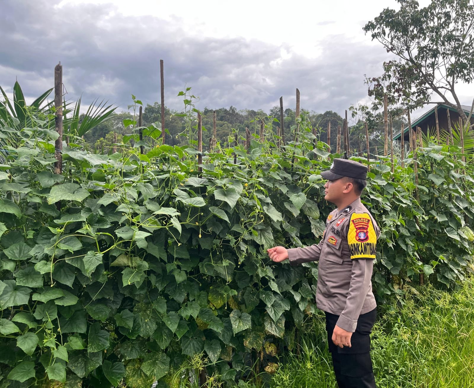 Polsek Kahut Apresiasi Kebun Sayur 10×10 Meter Milik Warga, Jadi Contoh Ketahanan Pangan Mandiri
