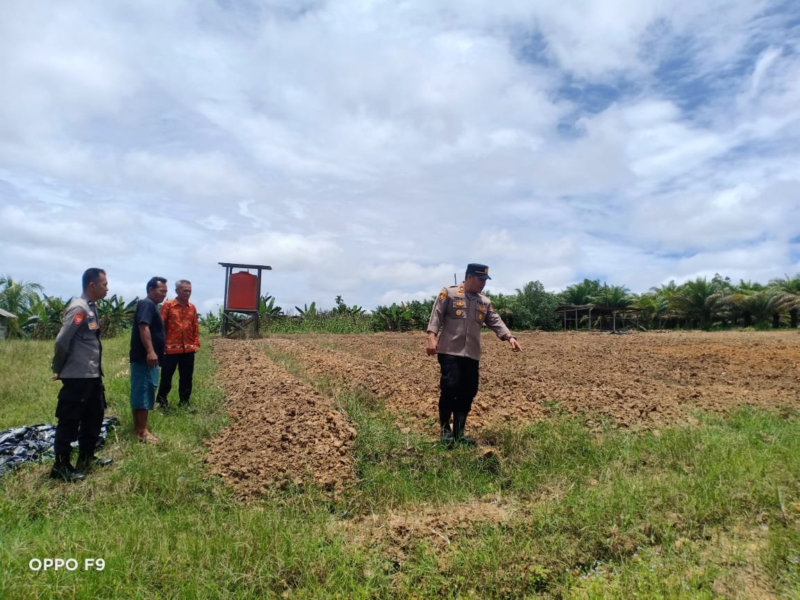 Dukung Ketahanan Pangan, Kapolsek Manuhing Turun Langsung ke Lahan Bagikan Bibit Jagung